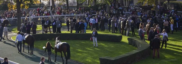Prix Count Schomberg - course pmu du 4 novembre 2018