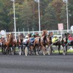 Grand Prix de Belgique - course pmu du 13 janvier 2019