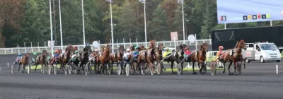 Grand Prix de Belgique - course pmu du 13 janvier 2019