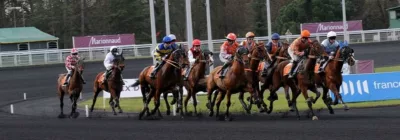 Prix de Cornulier - course pmu du 20 janvier 2019