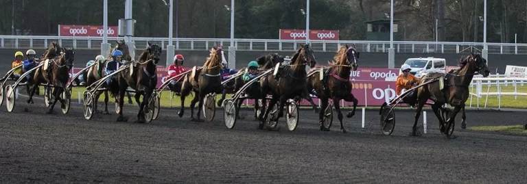 Prix de la Semaine Internationale - course pmu du 24 janvier 2019