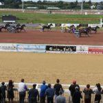 Quinté+ du 24 juillet 2019