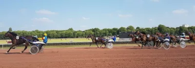 Quinte du 2 octobre 2019