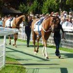 Quinte du 21 septembre 2019