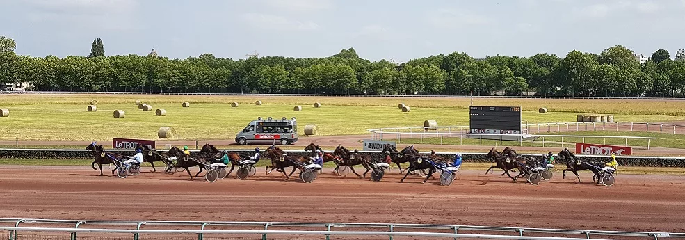 Quinté pmu du 10 décembre 2019