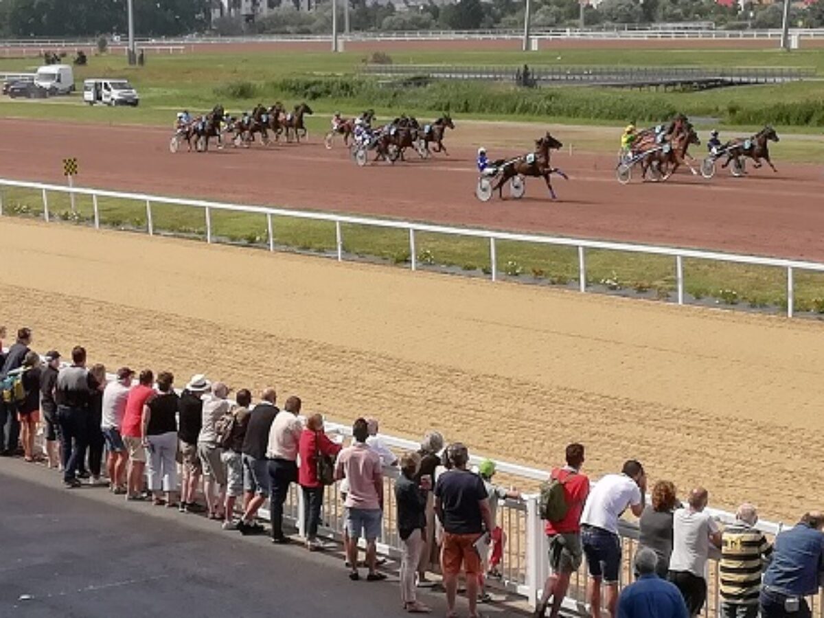 Quinté+ du 9 janvier 2020 à Cagnes sur mer