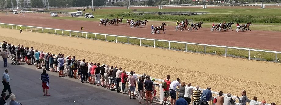 Résultat de recherche d'images pour "course attele cagne sur mer""