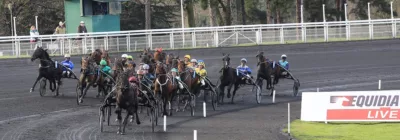 Quinté pmu du dimanche 5 janvier 2020