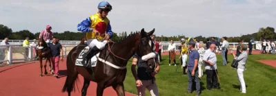 Quinté+ PMU du dimanche 1er mars 2020