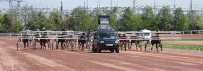 Quinté+ pmu du vendredi 13 mars 2020