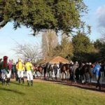 Quinte pmu dimanche 31 mai 2020