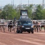 Quinte pmu samedi 13 juin 2020