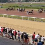 Quinte pmu du samedi 6 juin 2020