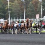 Quinté pmu vendredi 12 juin 2020