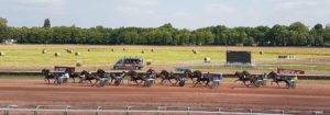 Tiercé Quarté Quinté pmu du mercredi 24 juin 2020