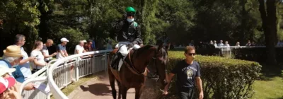 Tiercé Quarté Quinté+ PMU du jeudi 16 juillet 2020