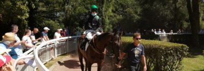 Tiercé Quarté Quinté+ PMU du dimanche 13 septembre 2020