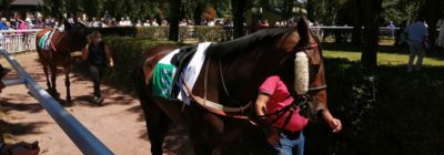 Tiercé Quarté Quinté+ PMU du dimanche 6 septembre 2020