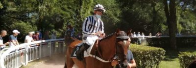 Tiercé Quarté Quinté+ PMU du mardi 3 novembre 2020