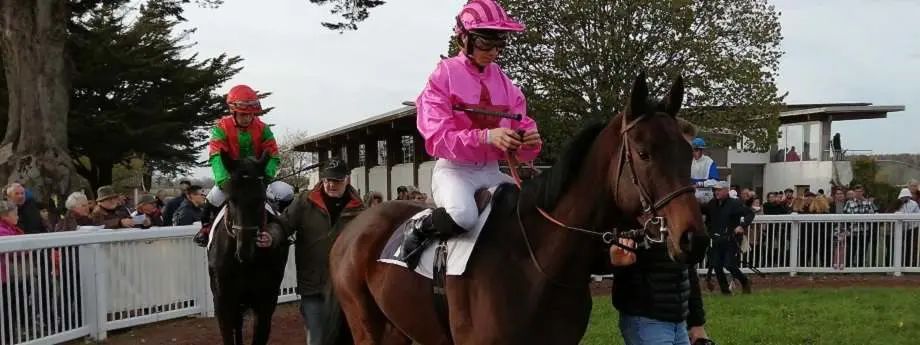 Ouest France Pmu Pronostic Gratuit Quinte Quarte Tierce