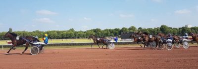 Tiercé Quarté Quinté+ PMU du mardi 10 novembre 2020