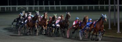 Tiercé Quarté Quinté+ PMU du vendredi 13 novembre 2020