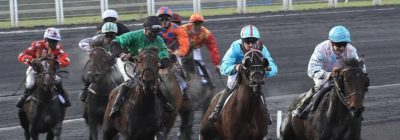 Prix de Cornulier - Tiercé Quarté Quinté+ PMU du dimanche 24 janvier 2021