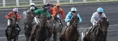 Prix de Cornulier - Tiercé Quarté Quinté+ PMU du dimanche 24 janvier 2021