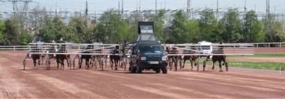 Tiercé Quarté Quinté+ PMU du mercredi 17 mars 2021