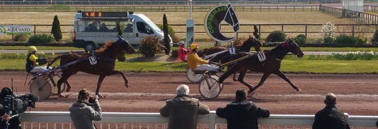 Pronostics courses PMU - cheval du jour