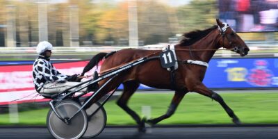 Quinté PMU du samedi 25 décembre 2021