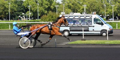 Tiercé Quarté Quinté+ PMU du dimanche 12 décembre 2021
