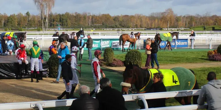 Statistique Pmu Des Chevaux Les Plus Joués Du Jour