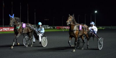 Tiercé Quarté Quinté+ PMU vendredi 10 décembre 2021