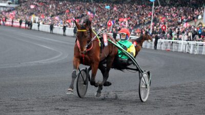 Prix d'Amérique 2022 à Vincennes Quinté PMU dimanche 30 janvier 2022