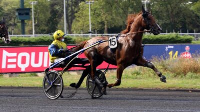 Quinté PMU du dimanche 16 janvier 2022