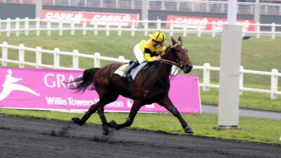 Quinté PMU du dimanche 23 janvier 2022