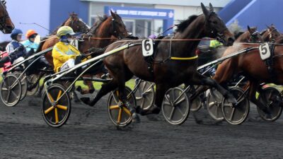 Quinté PMU du mercredi 2 février 2022