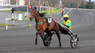 Quinté PMU du jeudi 20 janvier 2022