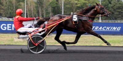 Quinté PMU du mardi 4 janvier 2022