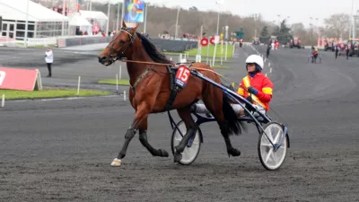Pronostic pour le Tiercé Quarté Quinté du mercredi 2 mars 2022