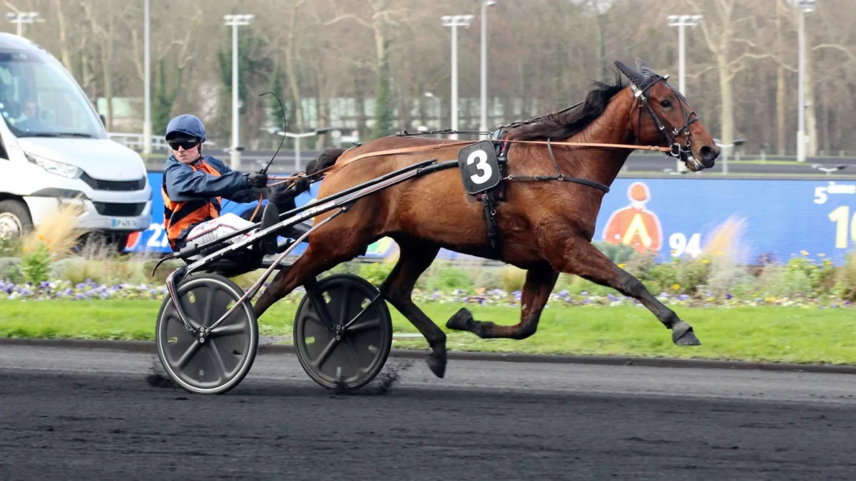 Pronostic quinté dimanche 27 février 2022