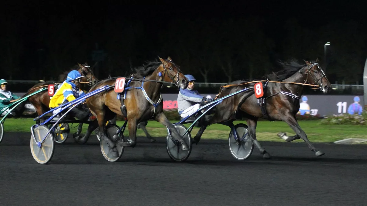 Pronostic Quinté PMU du vendredi 25 mars 2022