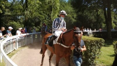 Pronostic pour le Tiercé Quarté Quinté du mardi 29 mars 2022