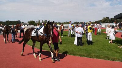 Pronostic pour le Tiercé Quarté Quinté du mardi 26 avril 2022