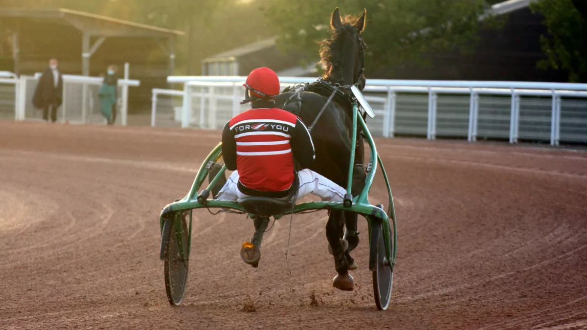 Pronostic pour le Tiercé Quarté Quinté du mercredi 25 mai 2022