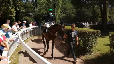 Pronostic pour le Tiercé Quarté Quinté du jeudi 9 juin 2022