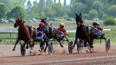 Pronostic pour le Tiercé Quarté Quinté du mercredi 22 juin 2022