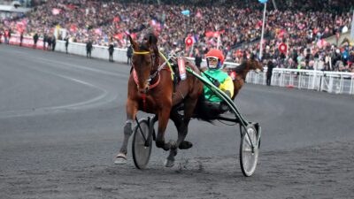 Pronostic pour le Tiercé Quarté Quinté du vendredi 10 juin 2022