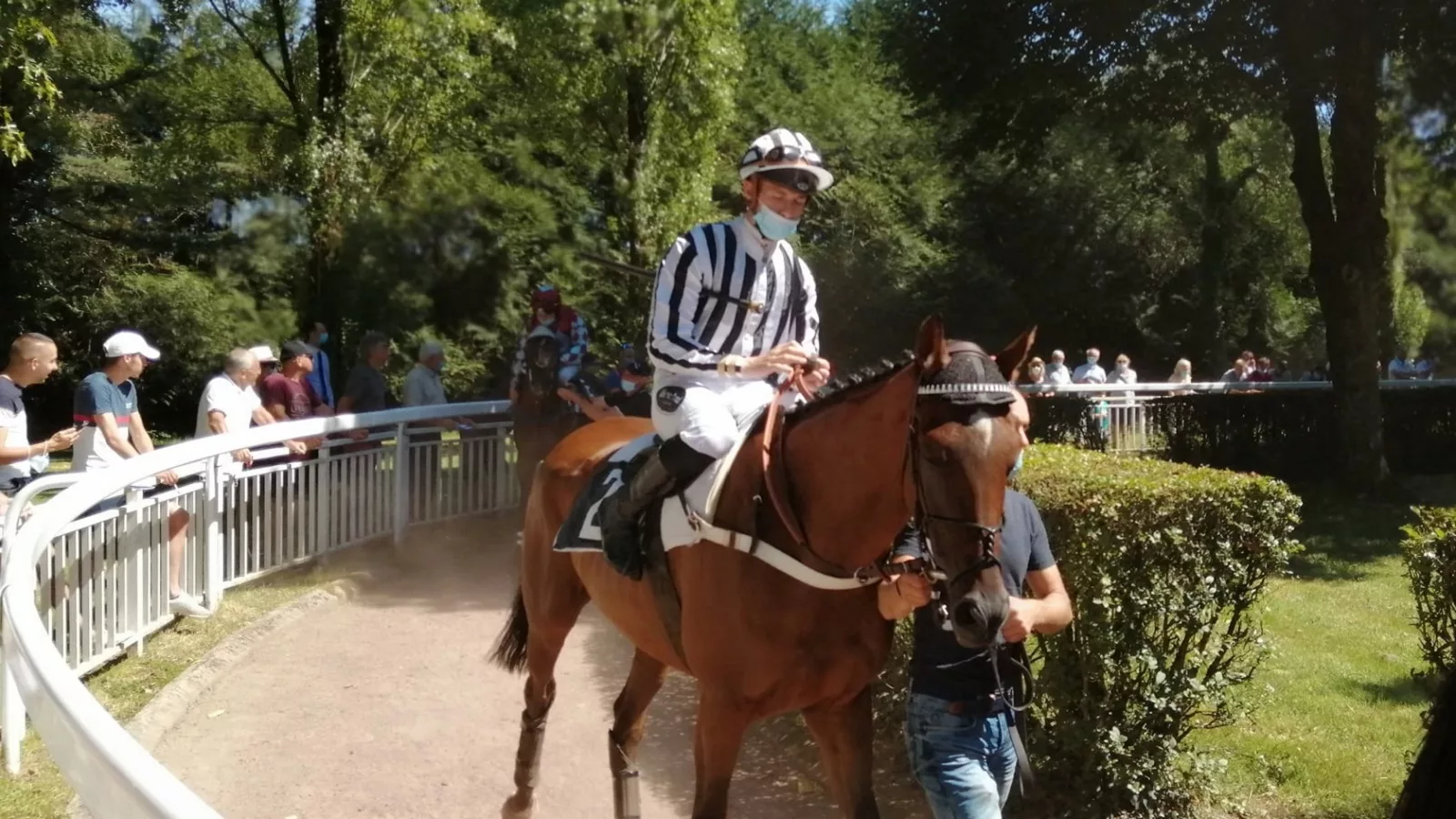 Pronostic pour le Tiercé Quarté Quinté du dimanche 31 juillet 2022